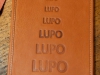 Fiesta Exclusiva Lupo