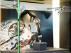 montblanc_26